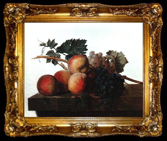 framed  John Johnston Still Life with Fruit fhf, ta009-2